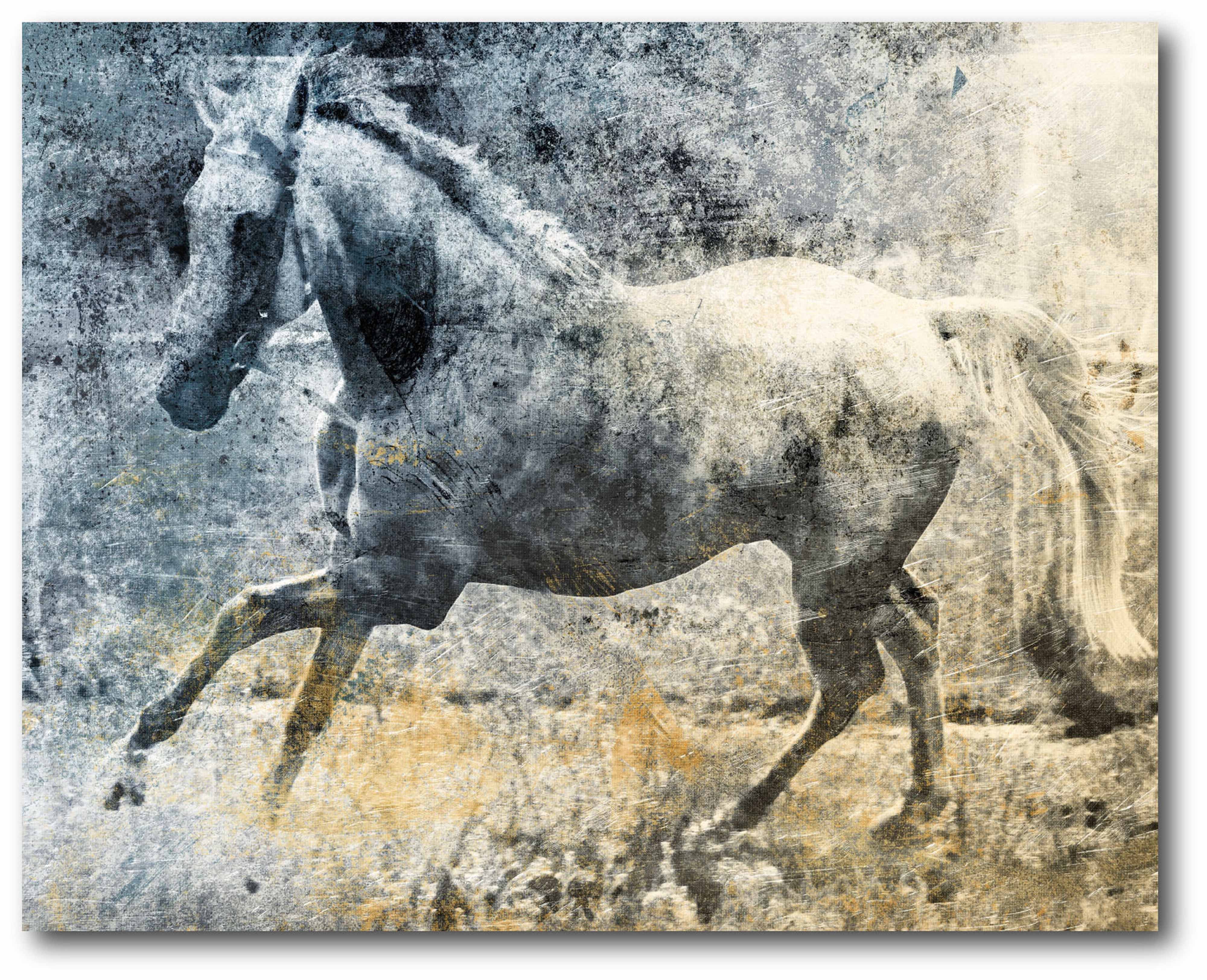 Washed Out Horse Gallery-Wrapped Canvas Wall Art, 16x20