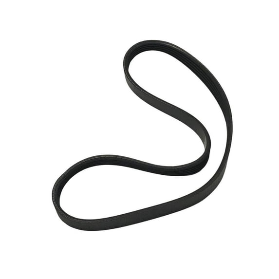 Washing Machine Drive Belt Compatible With Amana Model Numbers 4KWTW5900JW0, 4KWTW5900JW1, NTW3100JW0, NTW3100JW1