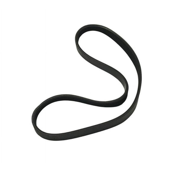 Washing Machine Drive Belt Compatible With Amana Model Numbers NTW3200JW0, NTW3200JW1, NTW3300JW0, NTW3300JW1