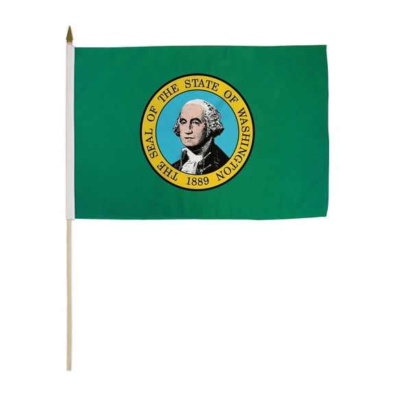 Washington 12x18in Stick Flag