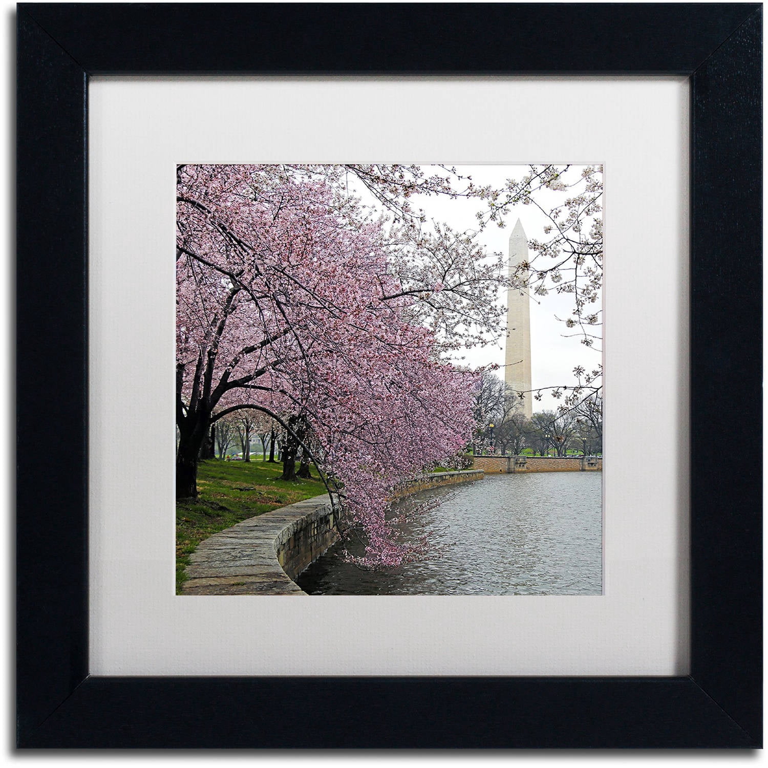 "Washington Blossoms" Canvas Art by CATeyes, White Matte, Black Frame