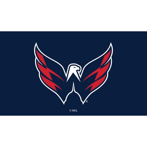 Washington Capitals 28" x 16" Turf Mat