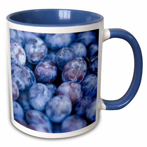 3drose, Washington, Chelan, Plum Agriculture - Us48 Rti0165 - Rob Tilley, 11oz Two-tone Blue Mug