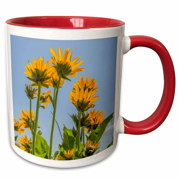 Washington, Columbia Hills State Park. Close-up of balsamroot flower. 15oz Two-Tone Red Mug mug-260415-10