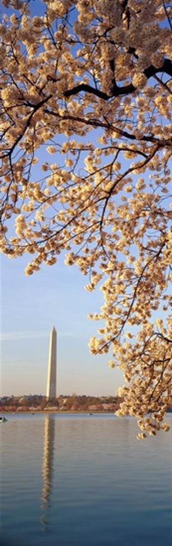 Washington DC Canvas Art - Panoramic Images (12 x 39)