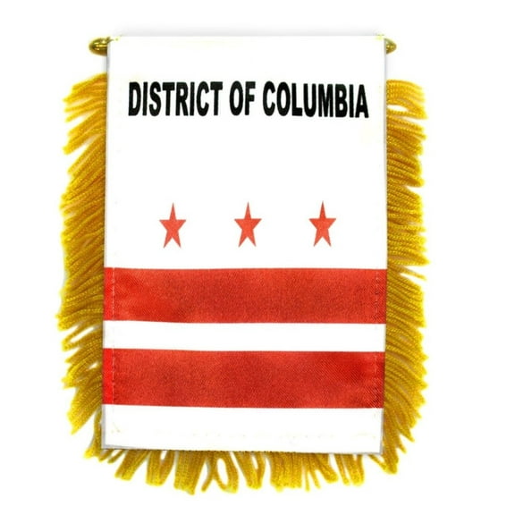 Washington DC Mini Banner
