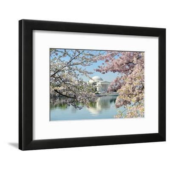 Washington Dc, Thomas Jefferson Memorial during Cherry Blossom Festival in Spring United States, Framed Art Print Wall Art by Orhan Sold by Art.Com