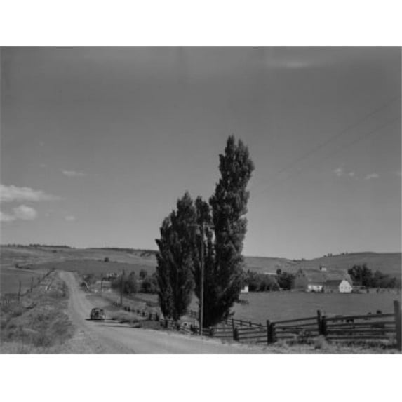 Washington Ellensburg Rural Road Among Fields Poster Print - 18 x 24 in.