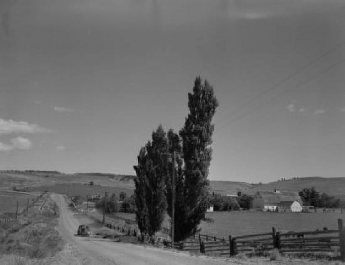 Washington Ellensburg rural road among fields Canvas Art - (18 x 24)