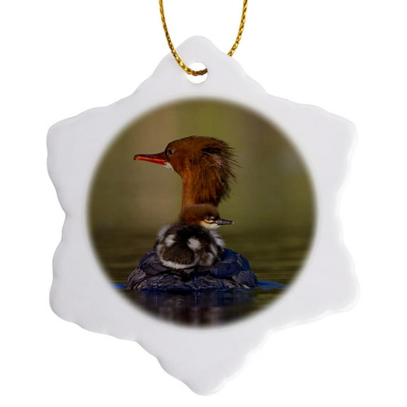 3drose, Washington, Lake Sammamish, Common Merganser Bird - Us48 Glu0131 - Gary Luhm, 3 inch Snowflake Porcelain Ornament