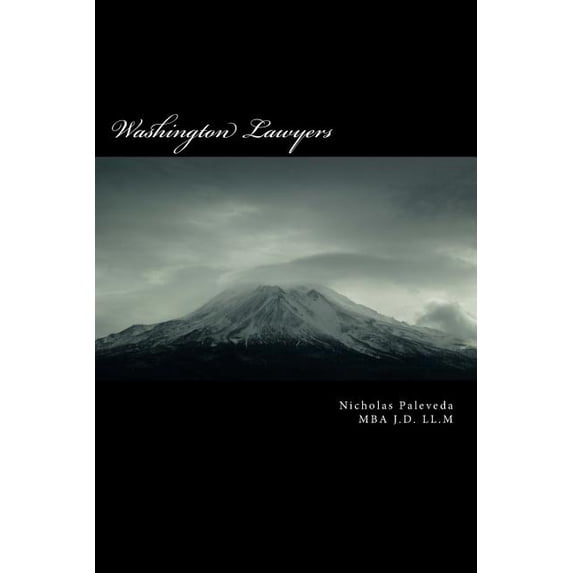 Washington Lawyers: based on a true story (Paperback)