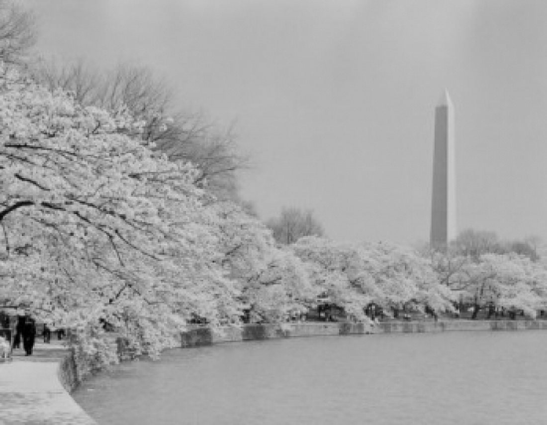 Washington Monument Canvas Art - (24 x 36)