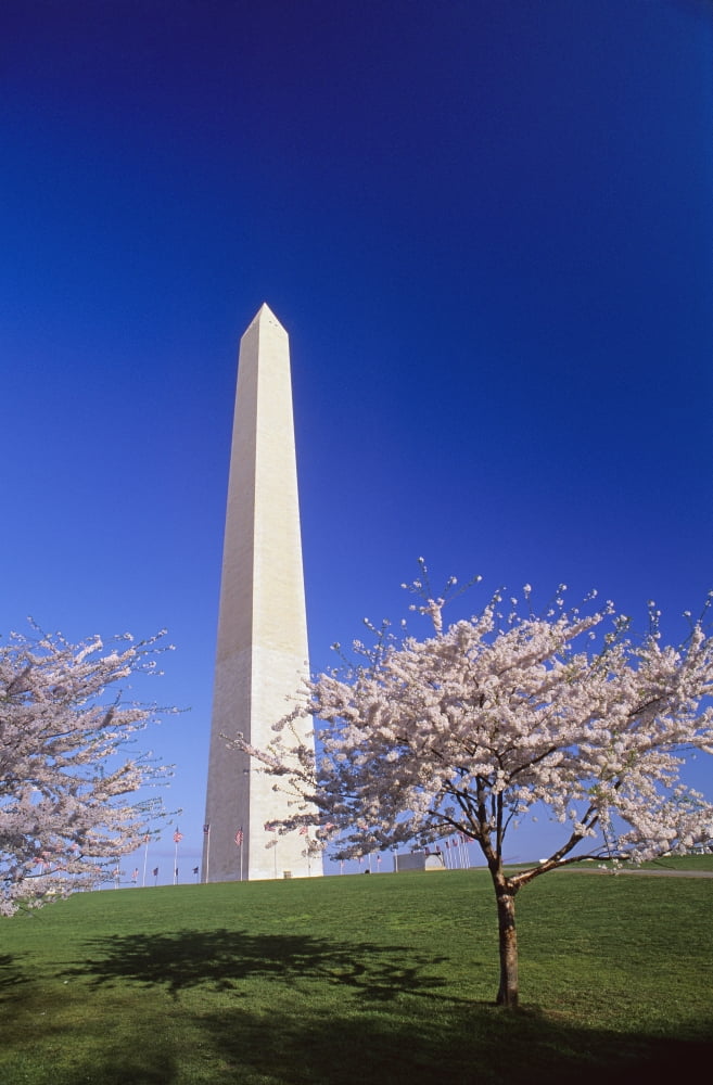 Washington Monument Canvas Art - Bilderbuch Design Pics (22 x 36)