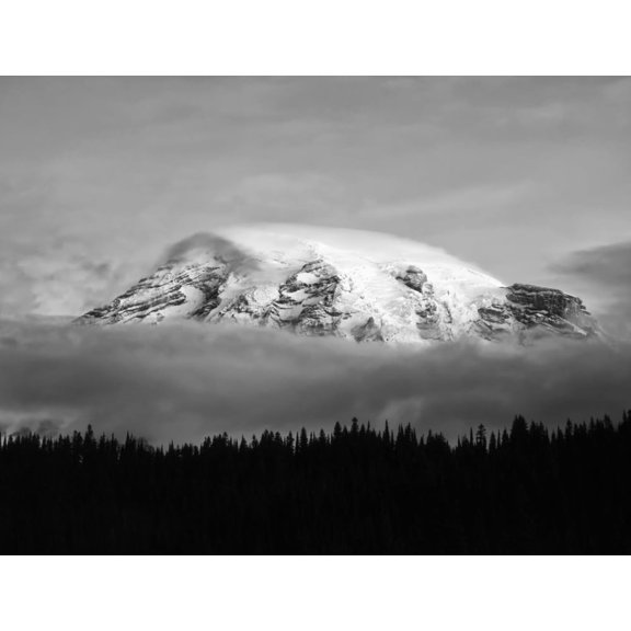Washington, Mt. Rainier NP. Black and white of clouds on Mt Rainier and forest silhouette. Poster Print by Jaynes Gallery (18 x 24)
