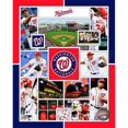 thumbnail image 1 of Washington Nationals 2015 Team Composite Sports Photo, 1 of 1
