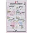 Washington Nationals GameUsed Lineup Card vs. Cincinnati Reds on March