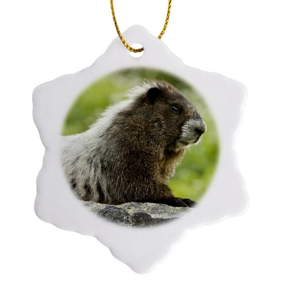 3drose, Washington, North Cascades Np, Marmot Wildlife - Us48 Bja0239 - Jaynes Gallery, 3 inch Snowflake Porcelain Ornament