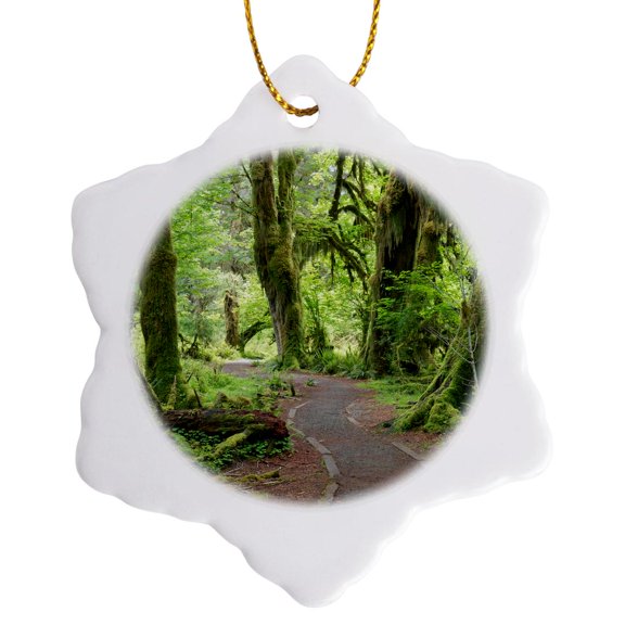 3drose, Washington, Olympic Np. Hall of Mosses Trail, Hoh River Rainforest., 3 inch Snowflake Porcelain Ornament