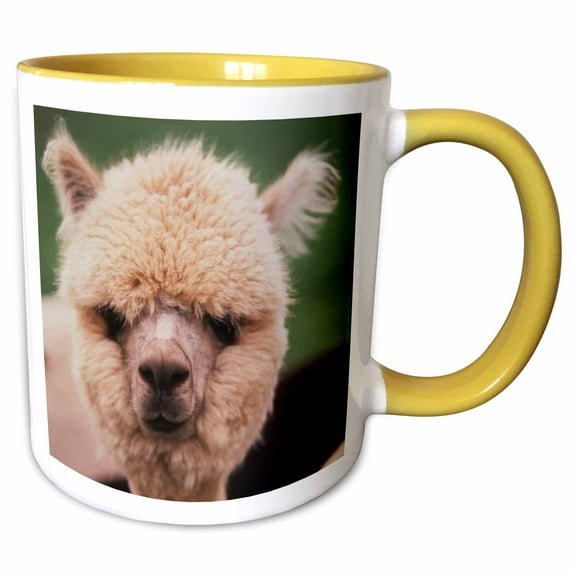 3drose, Washington, San Juan Island, Close Up of Alpaca Ranch, 11oz Two-tone Yellow Mug