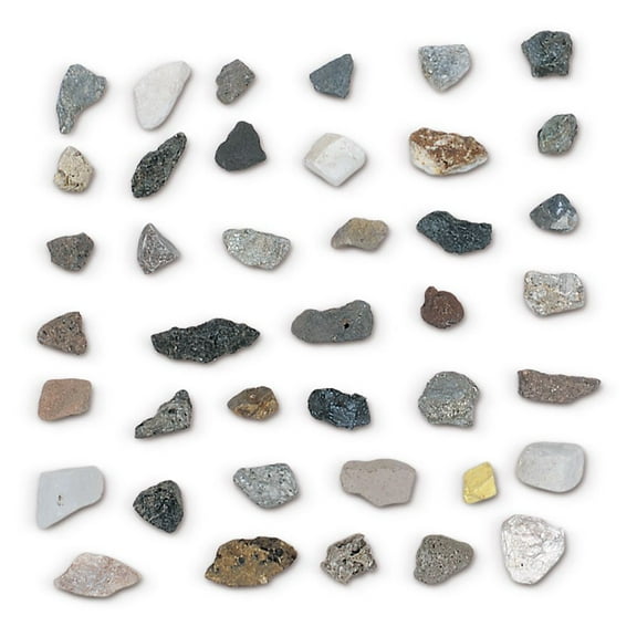 Washington School Student Rock Collection