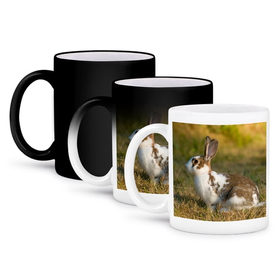 3dRose, Washington, Seattle, Discovery Park. A rabbit runs in an urban park., 11oz Magic Transforming Mug