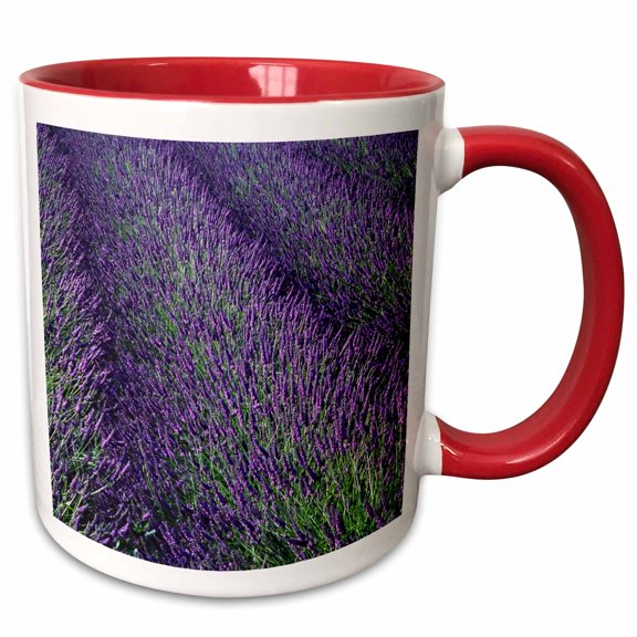 3drose, Washington, Sequim. Lavender Farm - Us48 Csl0151 - Charles Sleicher, 11oz Two-tone Red Mug