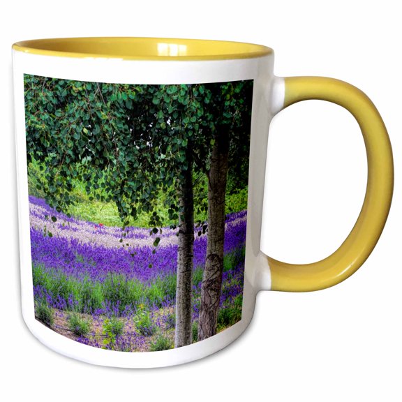 3drose, Washington, Sequim, Lavender Field in Full Boom with Trees, 11oz Two-tone Yellow Mug
