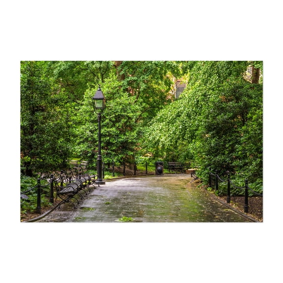 Washington Square Walkway - Manhattan New York Photography Nature Scenic Forest Landscape Botanical Summer Unframed Wall Art Print 4 x 6 inches