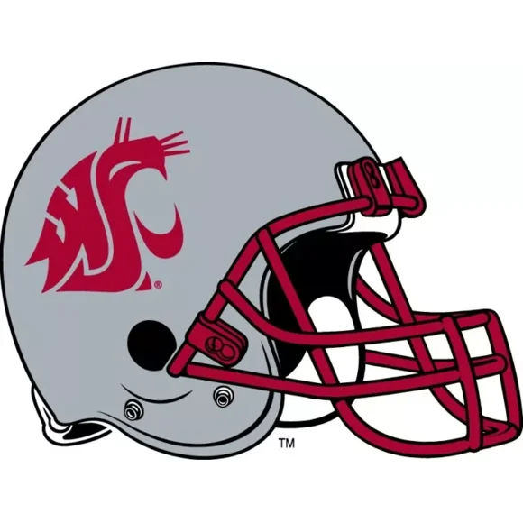 Washington State Cougars Helmet Logo Sticker Baseball Sticker, Football Sticker, Basketball Sticker, Sport Player Sticker, Phone Decal Water Bottle Stickers Car Decals