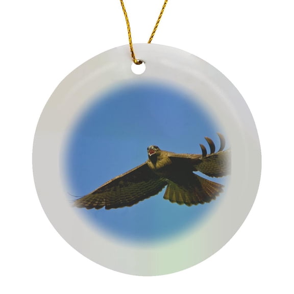 3drose, Washington State, Red-tailed Hawk, Bird - Us48 Glu0042 - Gary Luhm, Circle Porcelain Ornament