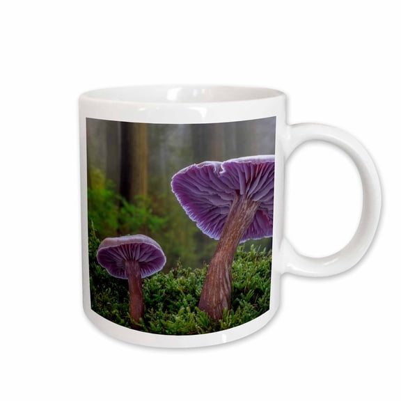 3drose, Washington State, Seabeck. Amethyst Laccaria Mushroom Closeup., 15oz Mug