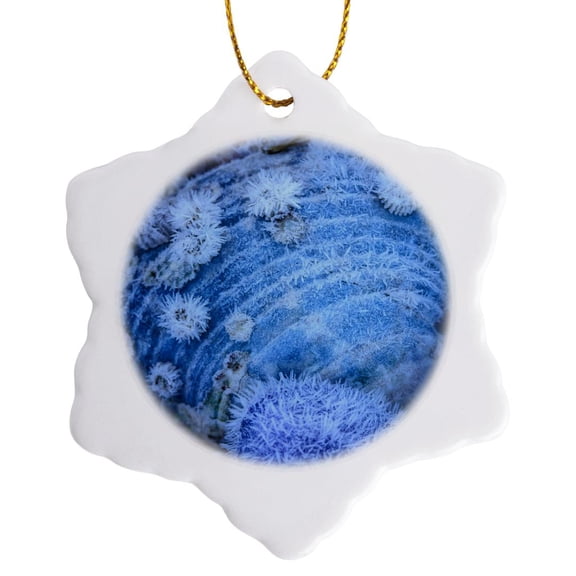 3drose, Washington State, Seabeck. Frosty Clam Shell in Winter., 3 inch Snowflake Porcelain Ornament