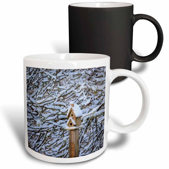 3drose, Washington State, Seabeck. Snow-covered Bird House and Tree Limbs., 11oz Magic Transforming Mug
