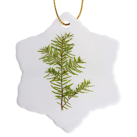 3drose, Washington State, Seabeck. Western Hemlock Seedling Closeup., 3 inch Snowflake Porcelain Ornament