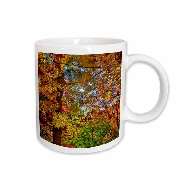 3drose, Washington State, Seattle. Arboretum. Maple Trees in Full Color., 11oz Mug