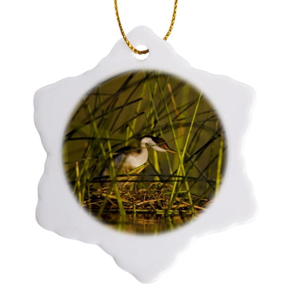 3drose, Washington State, Western Grebe, Bird - Us48 Glu0045 - Gary Luhm, 3 inch Snowflake Porcelain Ornament