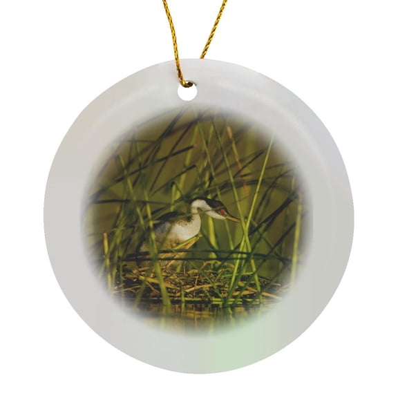 3drose, Washington State, Western Grebe, Bird - Us48 Glu0045 - Gary Luhm, Circle Porcelain Ornament