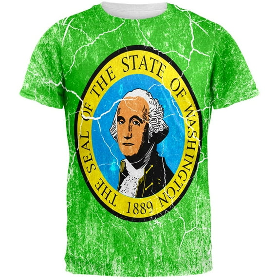 Washington Vintage Distressed State Flag All Over Mens T Shirt Multi SM