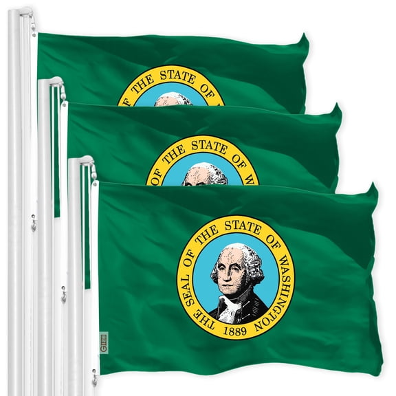 Washington WA State Flag 3x5FT 3-Pack 150D Printed Polyester By G128