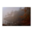 thumbnail image 1 of Washington Whispers of the Mist - Bellingham Washington Photography Foggy Autumn Landscape Scenic Nature Woodland Mystical Unframed Wall Art Print 20 x 30 inches, 1 of 7