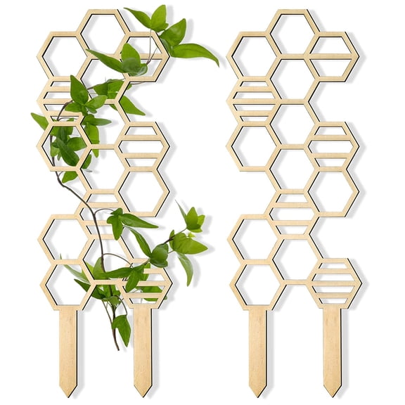 Washranp 4Pcs Solid Wood Small Plant Trellis,Indoor Flower Pot Plants Climbing Vine Branch Hexagon Vertical Rack for Plant