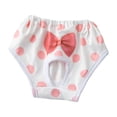 thumbnail image 1 of Washranp Pet Soft Washable Diapers,Fruit Print Breathable Comfort Reusable Doggy Menstrual Pants, 1 of 5