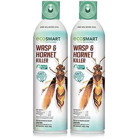 Wasp & Hornet Killer 14 oz. Aerosol (2 Pack)
