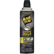 Black Flag Wasp And Hornet Killer Foam Spray - Insecticide, Outdoor Use - 14 oz