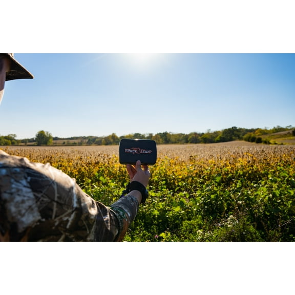 Wasp Nest broadhead case