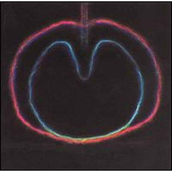 Pre-Owned Wasp Star (Apple Venus, Pt. 2) (CD 0016581326026) by XTC