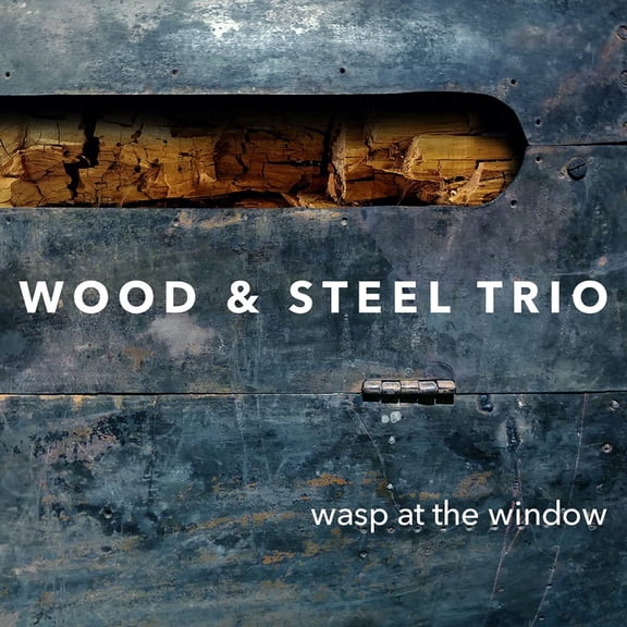 Wood & Steel Trio Wasp at the Window (CD)