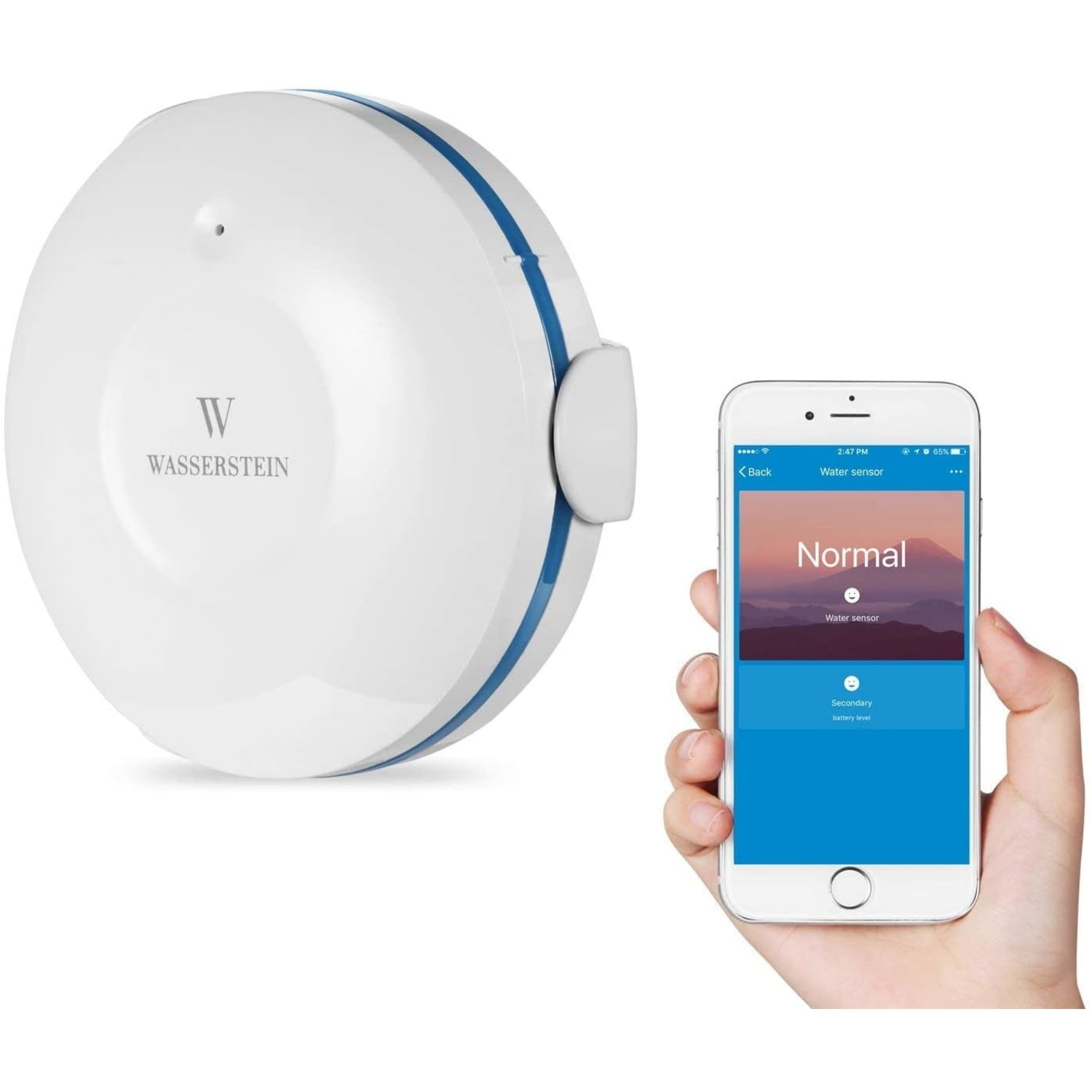 Wasserstein WiFi Water Leak Sensor Smart Water Leak Detector With App