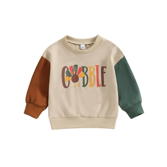 Wassery Baby Fall Sweatshirt 6M 12M 18M 24M 3T 4T Toddler Halloween Outfit for Boys Girls Long Sleeve Crew Neck Pumpkin/Turkey Print Pullover Tops