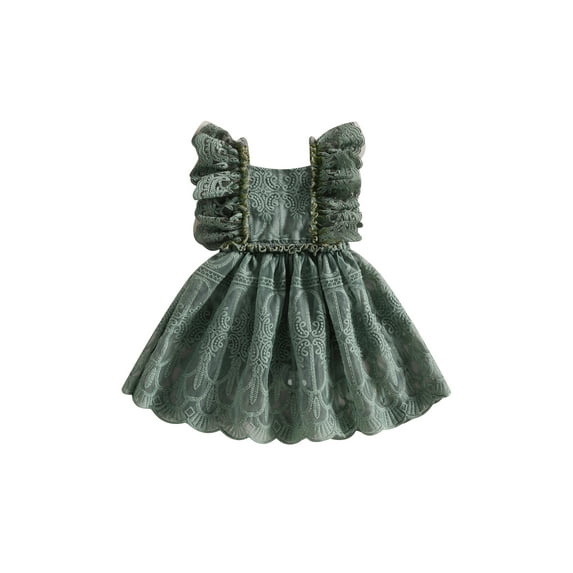Wassery Baby Girl Romper Dress Ruffle Sleeve Lace Jumpsuits Tulle Layerd A-line Dress 6M 12M 18M 24M Infant Summer Clothes